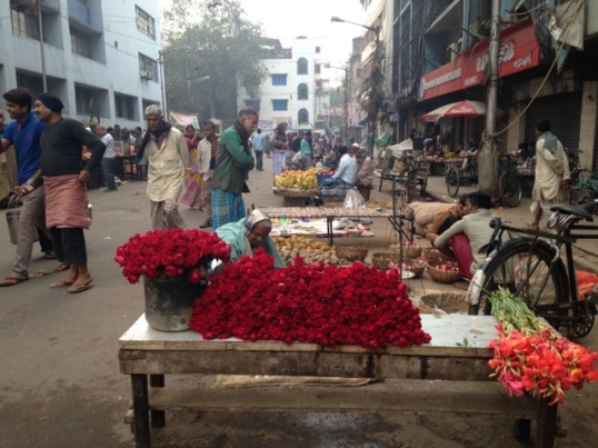 The roses that greet you when you enter and leave the breakfast road!